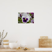 Weißes Lila Foto Poster (Küche)