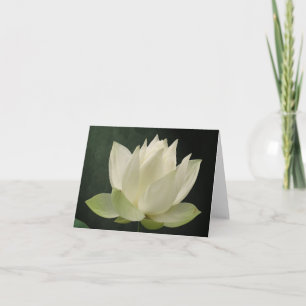 Weißes Lotus-Blüte BlumenNotecard Karte