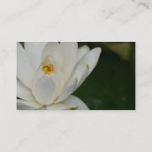 Weißes Lotus Visitenkarte (Rückseite)