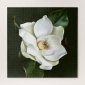 Weißes Magnolia Grüner Hintergrund Puzzle (Horizontal)