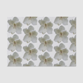 Weißes Magnolium auf Papiertaschentuch Seidenpapier