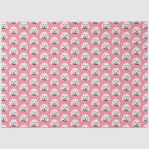 Weißes Malteser Pooch Girly Pink Tissue Paper Seidenpapier