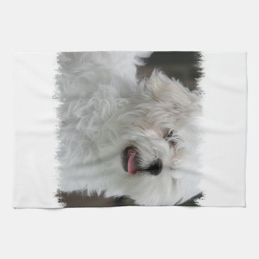 Weißes maltesisches Welpen-Geschirrtuch Geschirrtuch (Horizontal)