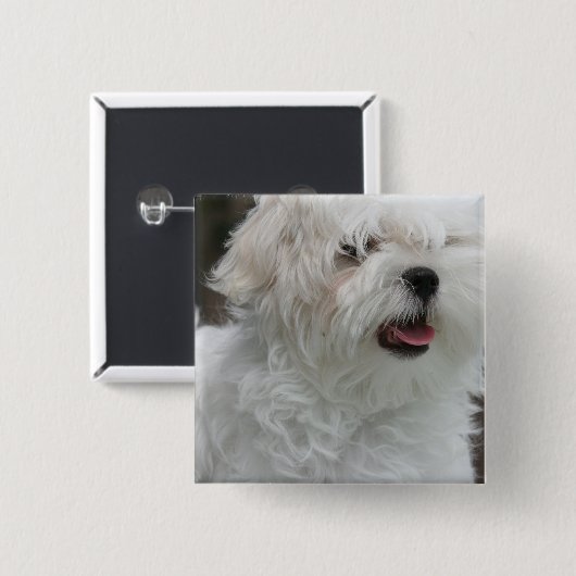 Weißes maltesisches Welpen-Quadrat-Button Button (Vorne & Hinten)