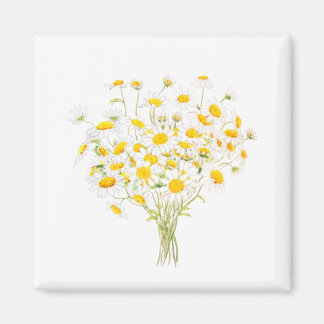 Weißes Margaret-Dekor, Aquarell und Tintenbraun Magnet