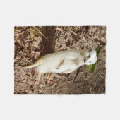 Weißes Meerkat, kleines Fleece-Blanket. Fleecedecke (Vorderseite (Horizontal))