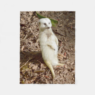 Weißes Meerkat, kleines Fleece-Blanket. Fleecedecke