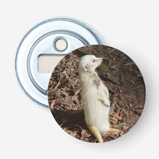 Weißes Meerkat, Magnetflaschenöffner. Flaschenöffner (Vorderseite)