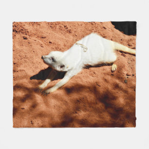 Weißes Meerkat-Stretching, Fleece Blanket
