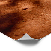 Weißes Meerkat-Stretching, Poster (Ecke)