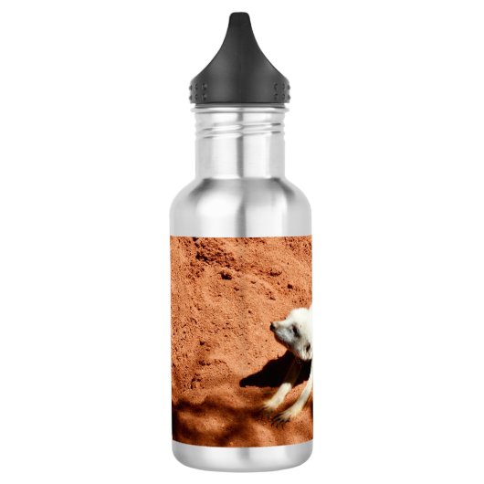 Weißes Meerkat-Stretching, Wasserflasche (Links)