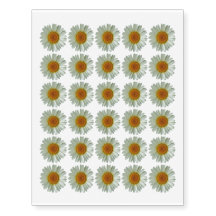 Weißes mit Blumengänseblümchen 30