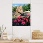 Weißes Morgan Arabianisches Wildpferd mit Blume Poster (Küche)