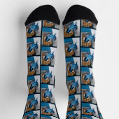 Weißes Nackthatch-Flying Original-Foto Socken (Oben)