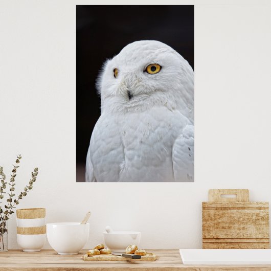 Weißes Ohr Poster (Küche)