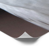 Weißes Ohr Poster (Ecke)