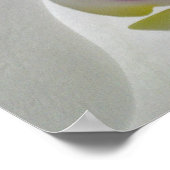 Weißes Orchid-Poster Poster (Ecke)