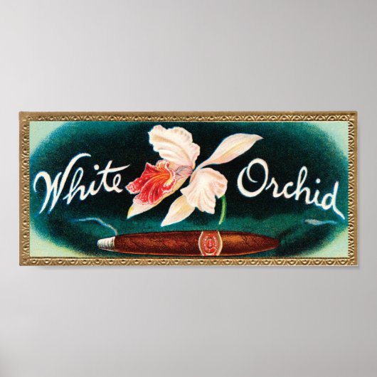 Weißes Orchid-Zigarrenschild Poster (Vorne)