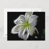 Weißes Orchideen-Fraktal Postkarte (Vorne/Hinten)