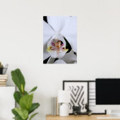 Weißes Orchideenblumenposter Poster (Heimbüro)