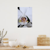 Weißes Orchideenblumenposter Poster (Küche)