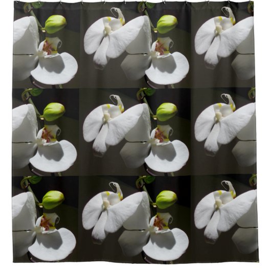 weißes orchides Foto, tropisches weißes blumengesc Duschvorhang (Vorderseite)