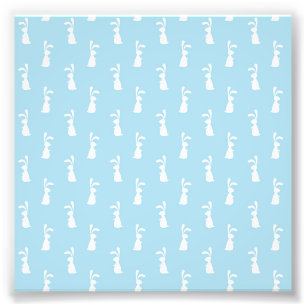 Weißes Oster Bunny Rabbit Ohren Pastellblauer Früh Fotodruck