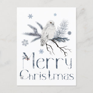 Weißes Owl auf einem Kiefernzweig Postkarte