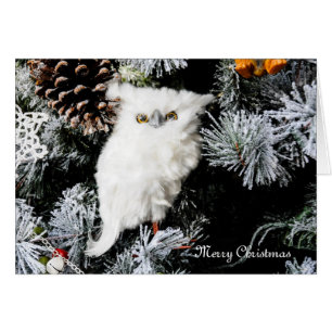 Weißes Owl-Blankenkarte