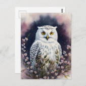 Weißes Owl-Blumenportrait Postkarte (Vorne/Hinten)