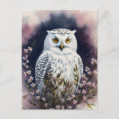 Weißes Owl-Blumenportrait Postkarte (Vorderseite)