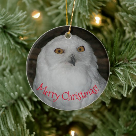 Weißes Owl-Foto Weihnachten Keramik Ornament (Baum)