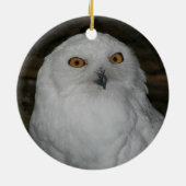 Weißes Owl-Foto Weihnachten Keramik Ornament (Hinten)