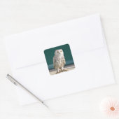 Weißes Owl Sticker/Siegel Quadratischer Aufkleber (Umschlag)