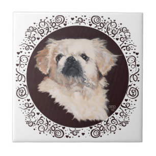 Weißes Pekingese-Kopfstudie Fliese
