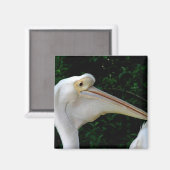 Weißes Pelikan Magnet (Vorderseite/Rückseite)
