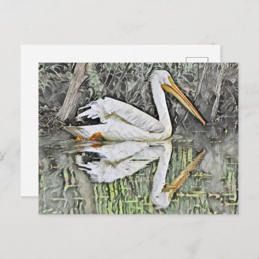 Weißes Pelikan Reflektion im Ölgemälde am See Postkarte (Vorne/Hinten)