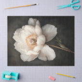 Weißes Peony in Bloom Botanische Malerei Dekoupage Seidenpapier (Basteln)