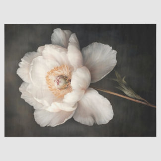 Weißes Peony in Bloom Botanische Malerei Dekoupage Seidenpapier