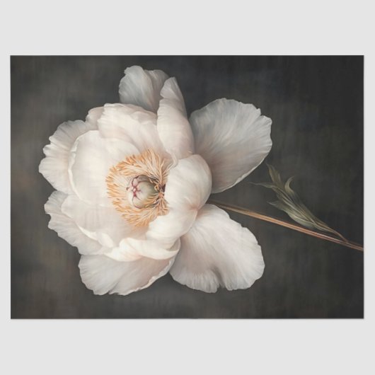 Weißes Peony in Bloom Botanische Malerei Dekoupage Seidenpapier (Vorderseite)