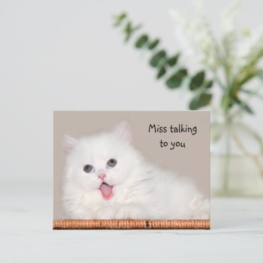 Weißes Perserkätzchen fehlt dir Postkarte (Stehend Vorderseite)