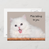 Weißes Perserkätzchen fehlt dir Postkarte (Vorne/Hinten)