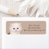 Weißes persisches Kätzchen (Insitu)