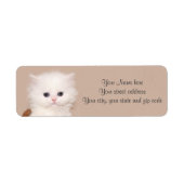 Weißes persisches Kätzchen (Vorne)