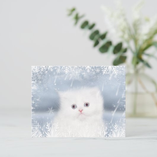 Weißes persisches Kätzchen Weihnachten (Stehend Vorderseite)