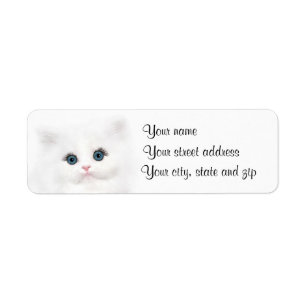 Weißes persisches Kätzchengesicht