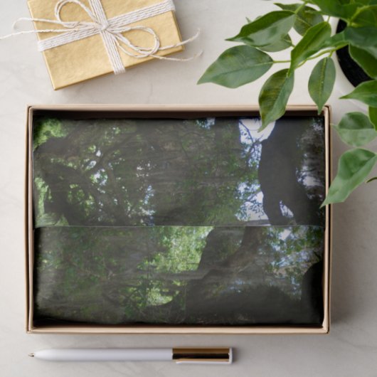 Weißes Pfau-Engel-Eichenholz-Zwergpapier Seidenpapier (Geschenk)