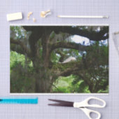 Weißes Pfau-Engel-Eichenholz-Zwergpapier Seidenpapier (Handwerk)