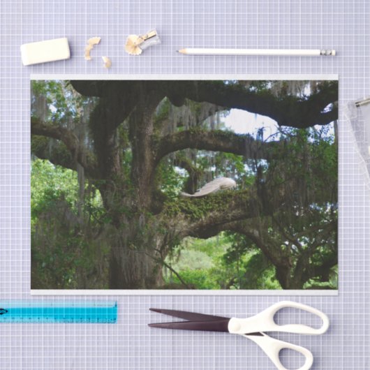 Weißes Pfau-Engel-Eichenholz-Zwergpapier Seidenpapier (Handwerk)