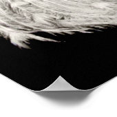 Weißes Pfauenposter Poster (Ecke)